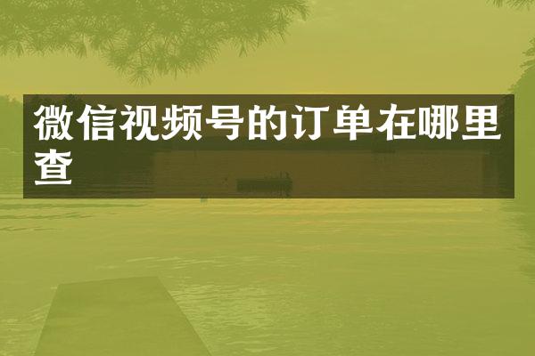 微信视频号的订单在哪里查