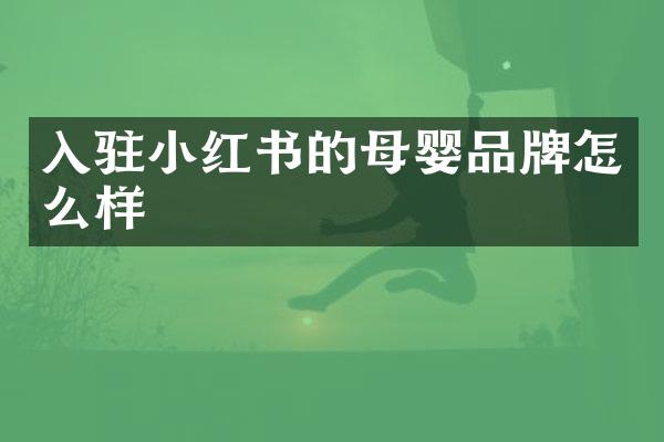 入驻小红书的母婴品牌怎么样