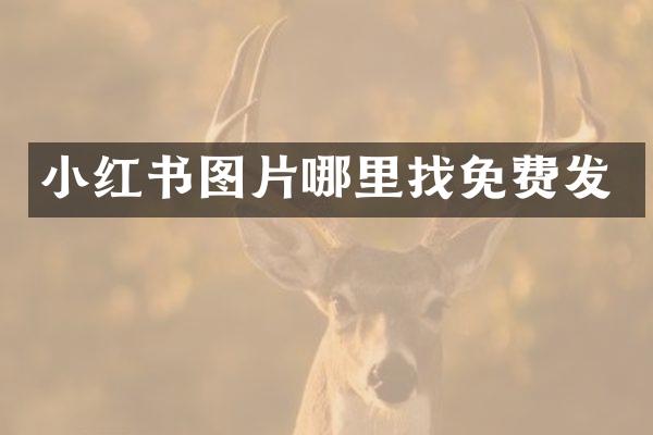 小红书图片哪里找免费发