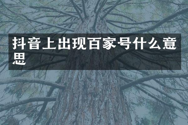 抖音上出现百家号什么意思