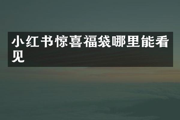 小红书惊喜福袋哪里能看见