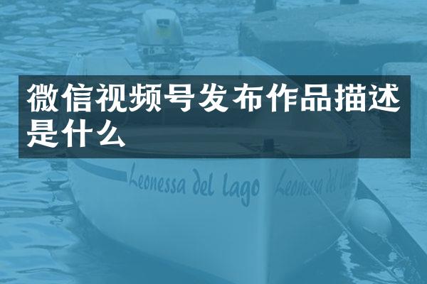 微信视频号发布作品描述是什么