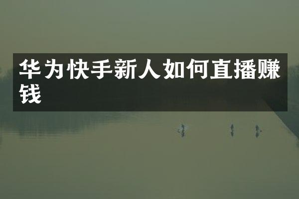 华为快手新人如何直播赚钱