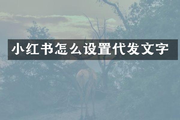 小红书怎么设置代发文字