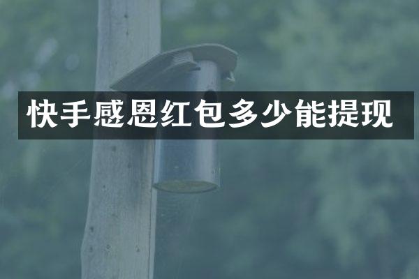 快手感恩红包多少能提现