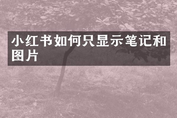 小红书如何只显示笔记和图片