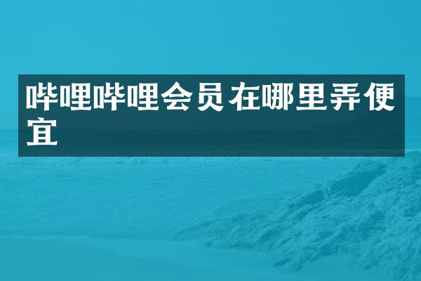 哔哩哔哩会员在哪里弄便宜