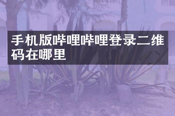 手机版哔哩哔哩登录二维码在哪里