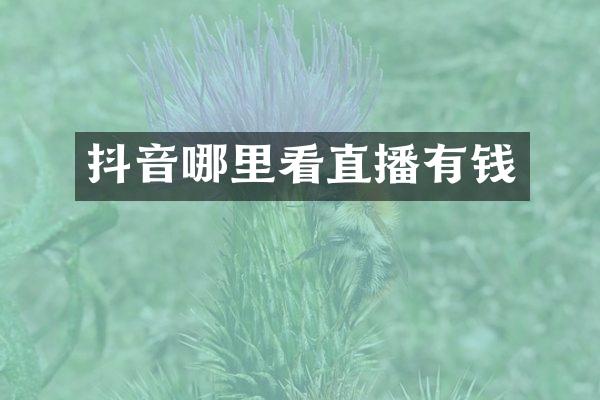 抖音哪里看直播有钱