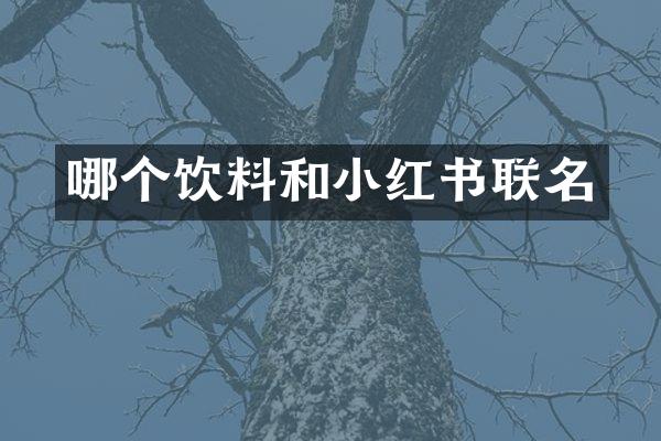 哪个饮料和小红书联名