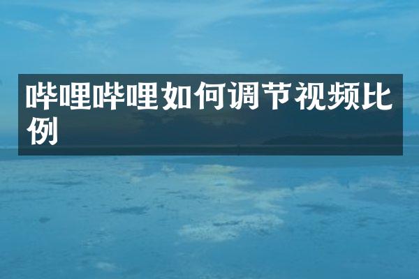 哔哩哔哩如何调节视频比例