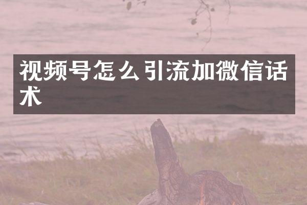 视频号怎么引流加微信话术