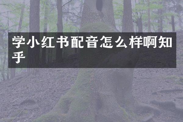 学小红书配音怎么样啊知乎