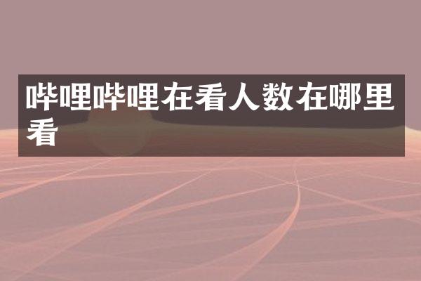 哔哩哔哩在看人数在哪里看