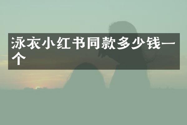 泳衣小红书同款多少钱一个