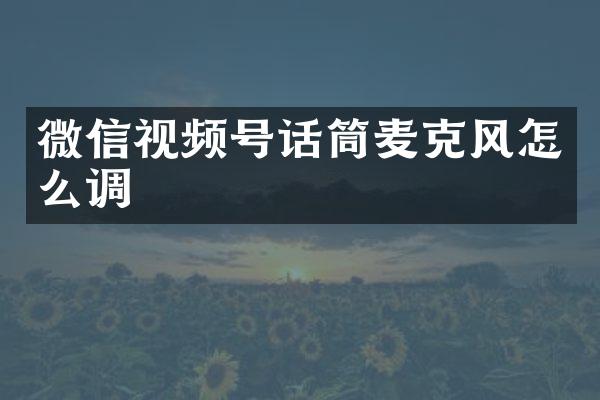 微信视频号话筒麦克风怎么调