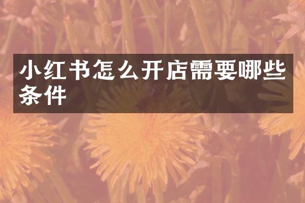 小红书怎么开店需要哪些条件