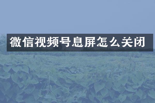 微信视频号息屏怎么关闭