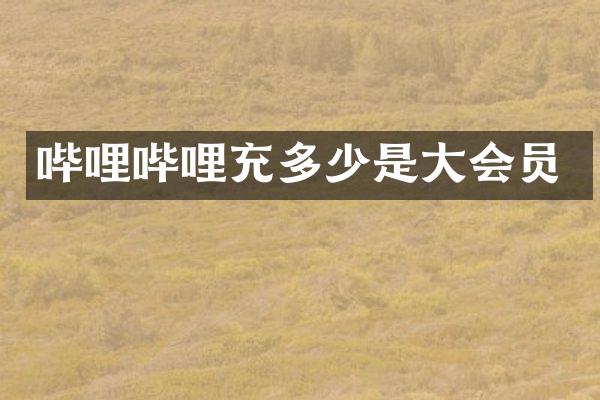 哔哩哔哩充多少是大会员
