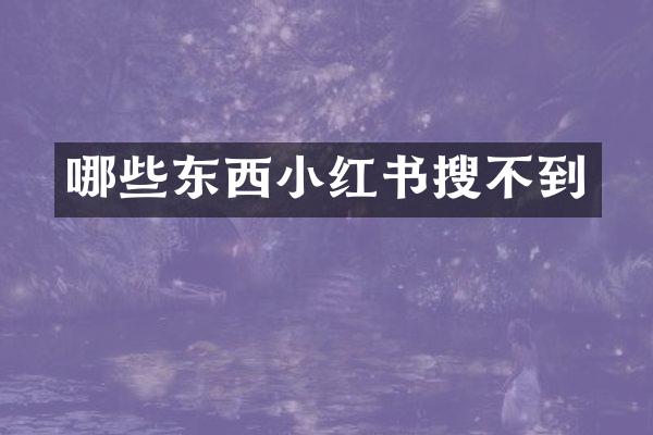 哪些东西小红书搜不到