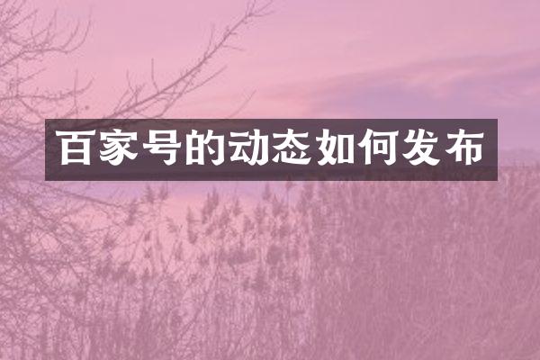 百家号的动态如何发布