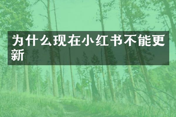 为什么现在小红书不能更新