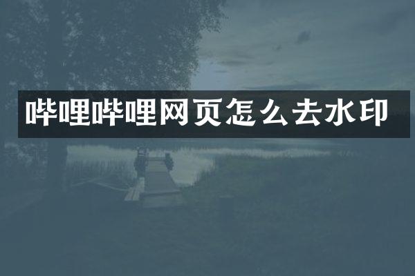 哔哩哔哩网页怎么去水印
