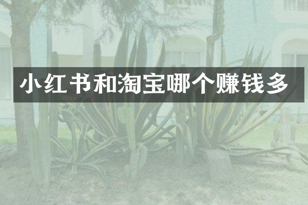 小红书和淘宝哪个赚钱多