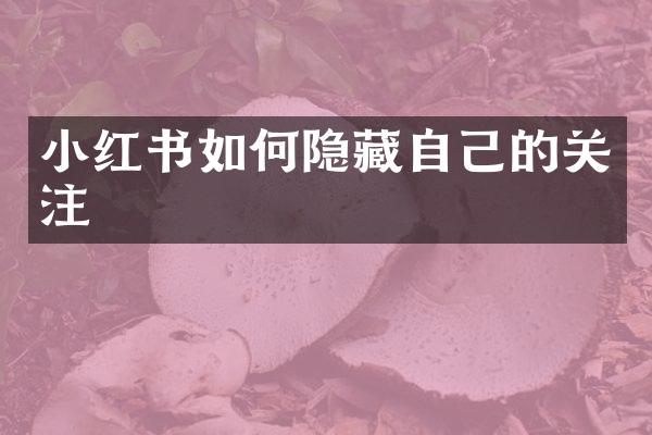 小红书如何隐藏自己的关注