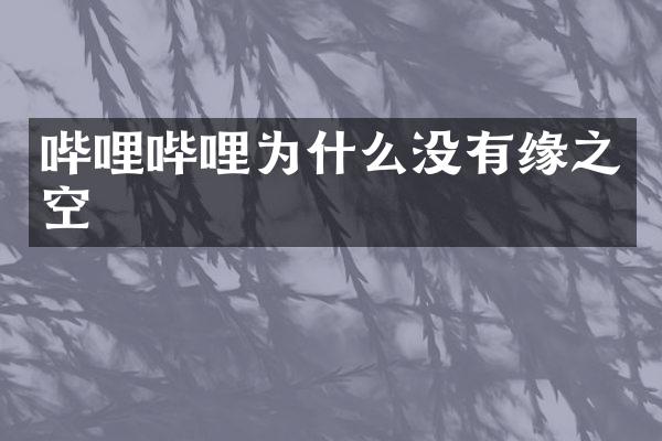 哔哩哔哩为什么没有缘之空