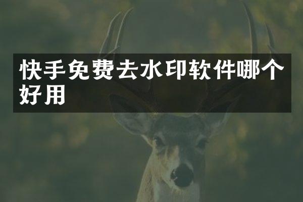 快手免费去水印软件哪个好用