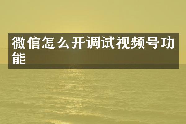 微信怎么开调试视频号功能