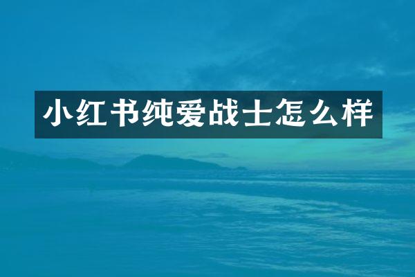 小红书纯爱战士怎么样