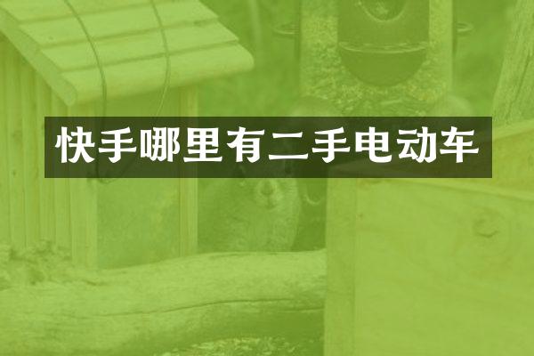 快手哪里有二手电动车