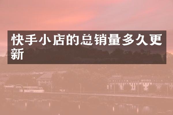 快手小店的总销量多久更新