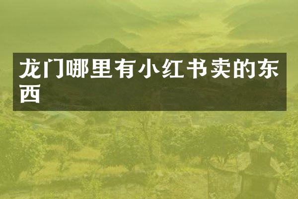 龙门哪里有小红书卖的东西