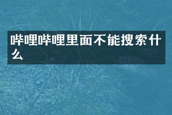 哔哩哔哩里面不能搜索什么
