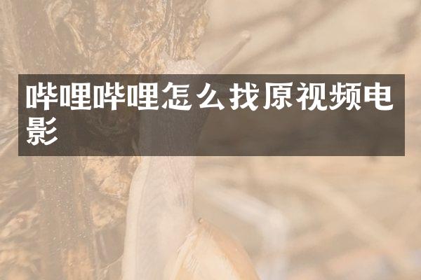 哔哩哔哩怎么找原视频电影