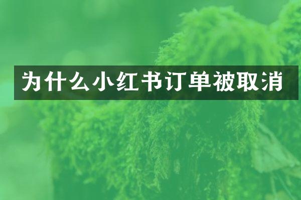 为什么小红书订单被取消