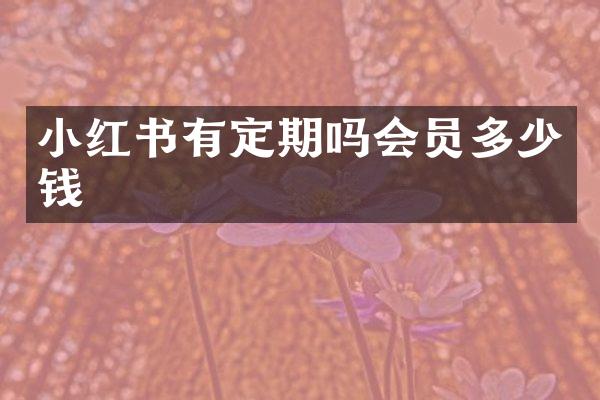 小红书有定期吗会员多少钱