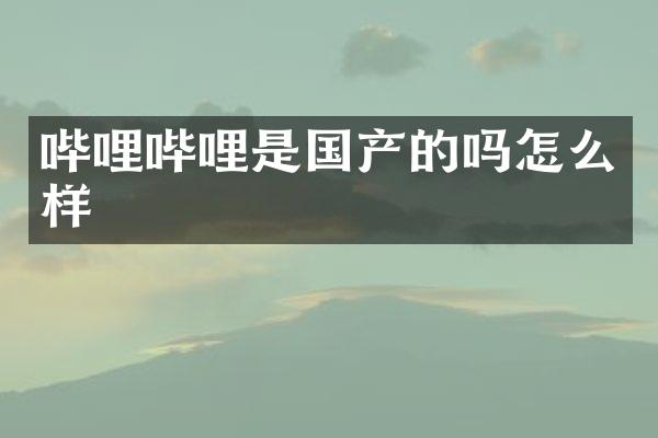 哔哩哔哩是国产的吗怎么样