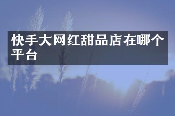 快手大网红甜品店在哪个平台