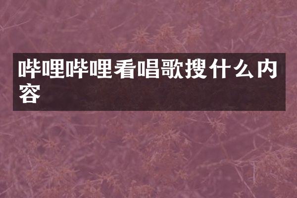 哔哩哔哩看唱歌搜什么内容