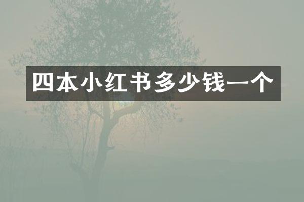 四本小红书多少钱一个