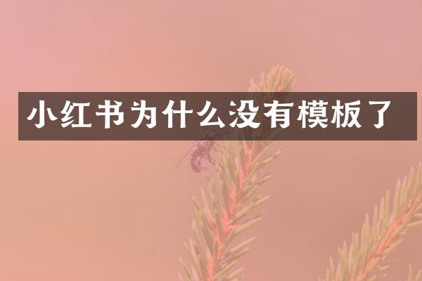 小红书为什么没有模板了