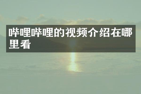 哔哩哔哩的视频介绍在哪里看