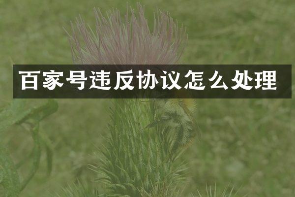 百家号违反协议怎么处理