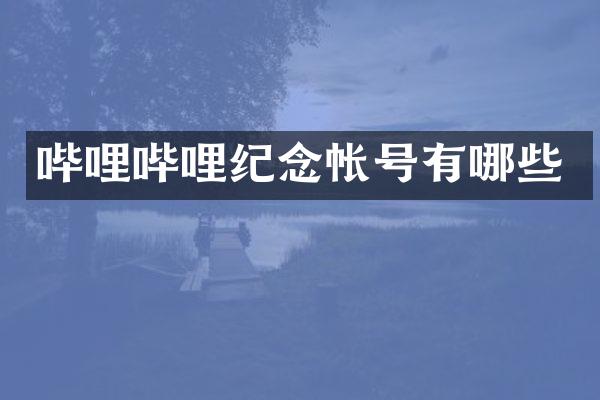 哔哩哔哩纪念帐号有哪些