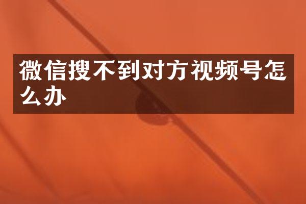 微信搜不到对方视频号怎么办