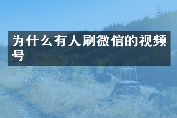 为什么有人刷微信的视频号